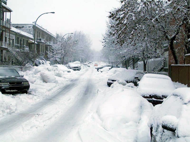 Snow-buried cars and trees on a Plateau Mont-Royal residential street in Montreal