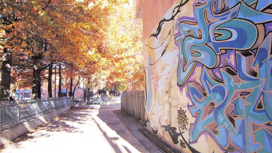 Plateau Mont-Royal autumn street with painted mural and orange leaves in Montreal