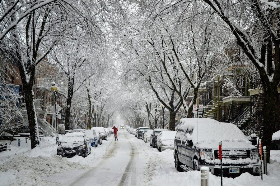 A snowy winter street in Montreal with parked cars buried under snow and bare trees overhead