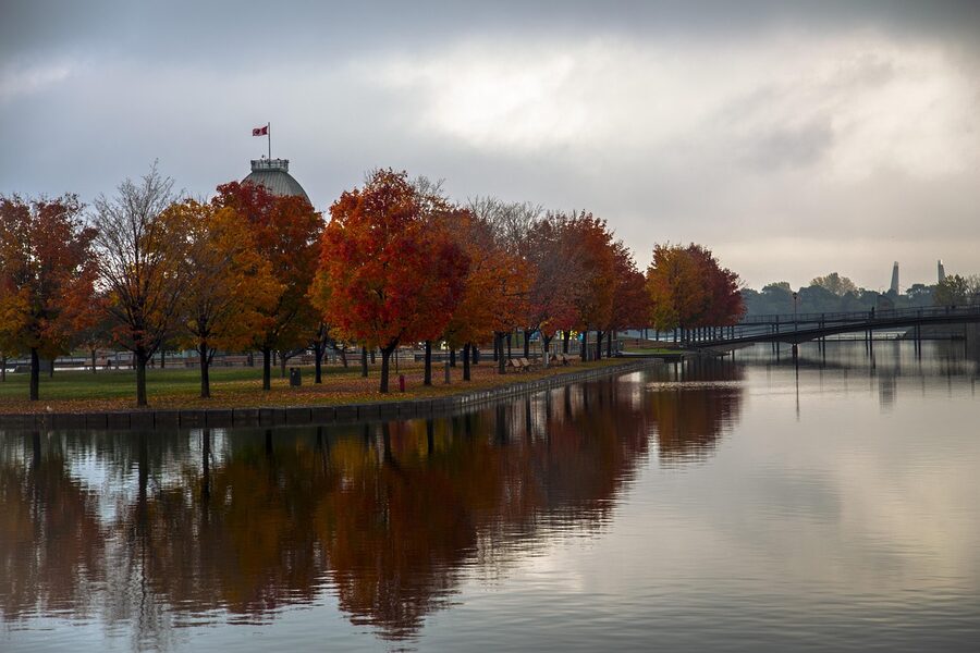 Old Port of Montreal in autumn, red and orange trees reflected in still water with the Bonsecours dome behind